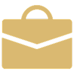 DS_FL_ico2_DS